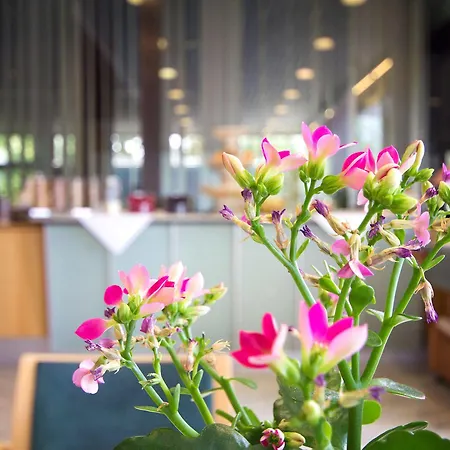 Seligweiler & Restaurant エルヒンゲン